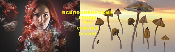 крисы Белоозёрский