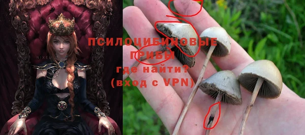 крисы Белоозёрский