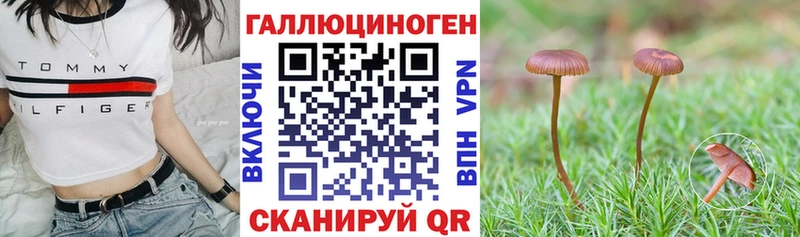 Псилоцибиновые грибы прущие грибы  где найти   Шумерля 