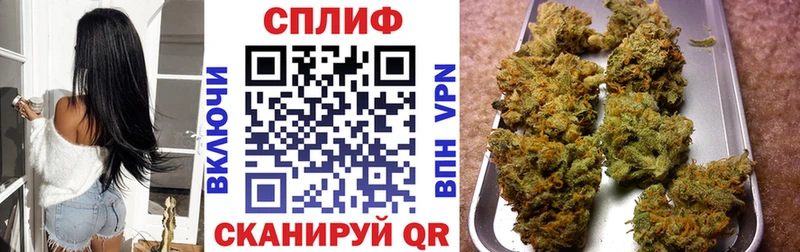 Конопля план  Шумерля 